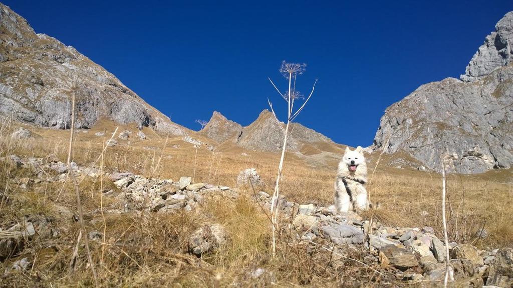 Bezgova Hisica Villa Bovec Exteriör bild
