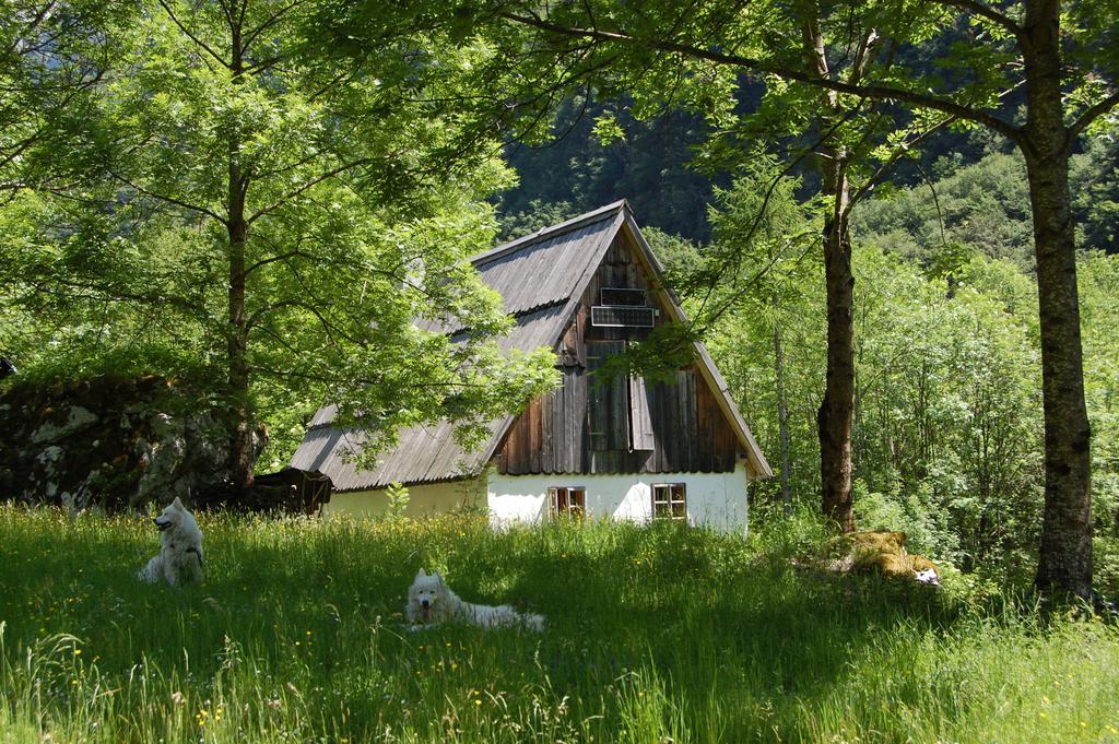 Bezgova Hisica Villa Bovec Exteriör bild