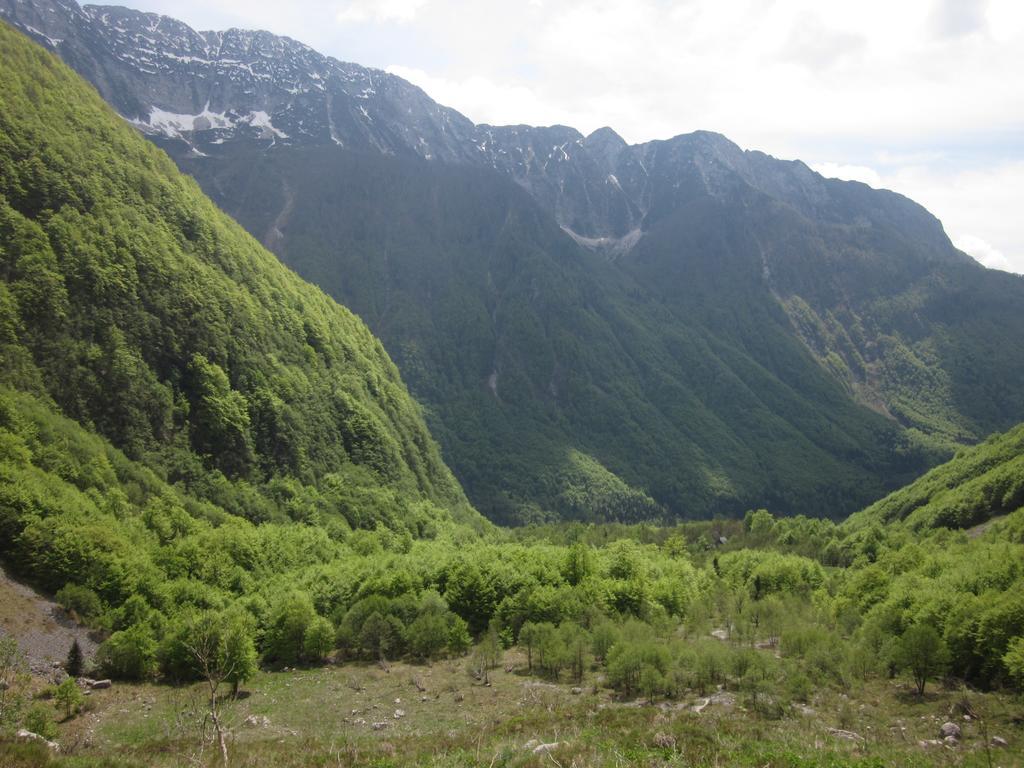Bezgova Hisica Villa Bovec Exteriör bild