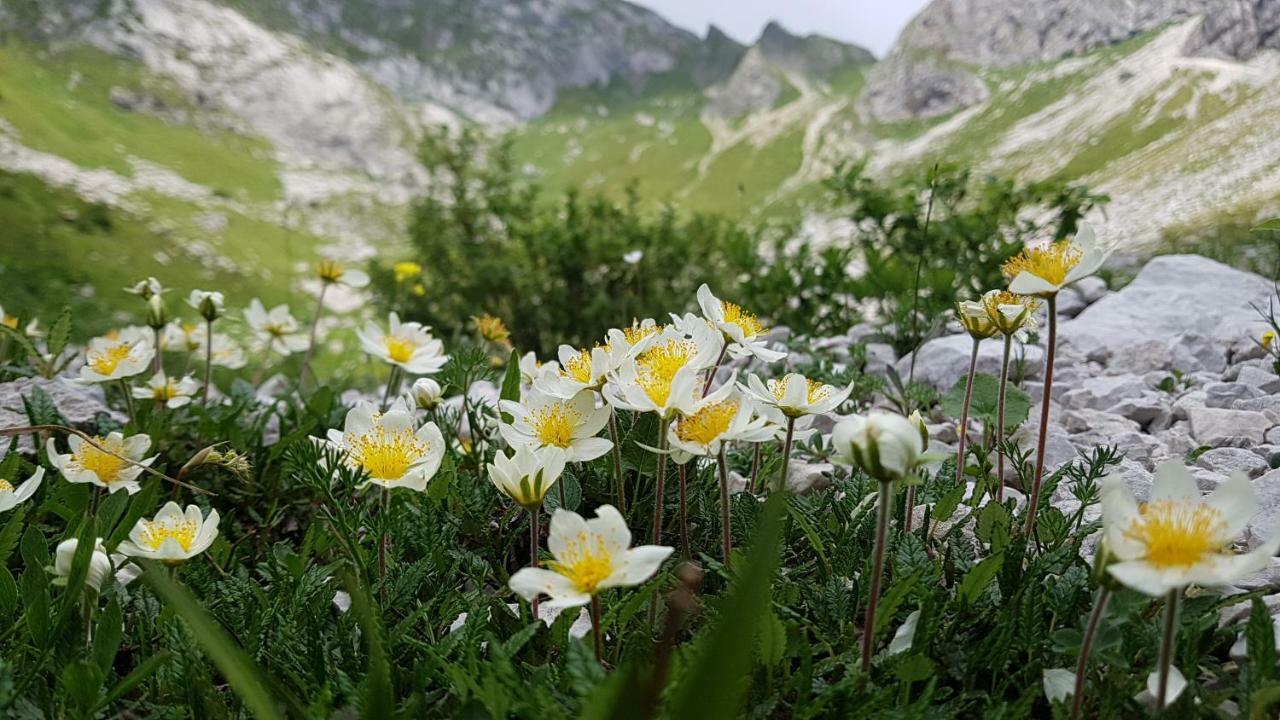 Bezgova Hisica Villa Bovec Exteriör bild